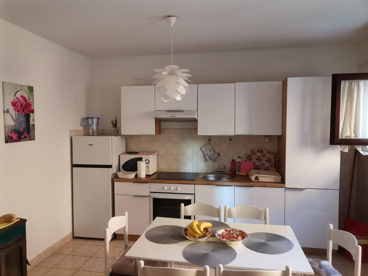 Delfin Apartments Zadar Extérieur photo